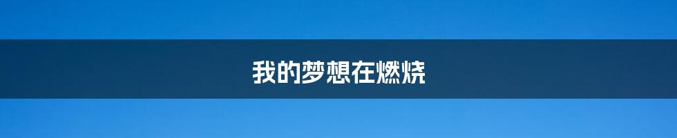 我的梦想在燃烧