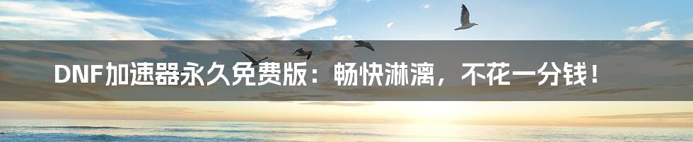 DNF加速器永久免费版：畅快淋漓，不花一分钱！