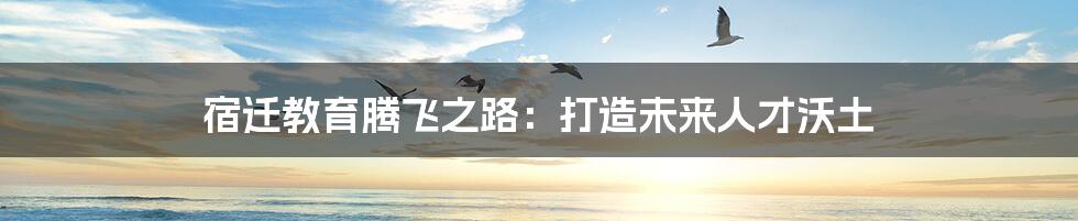 宿迁教育腾飞之路:打造未来人才沃土