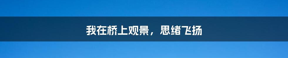 我在桥上观景,思绪飞扬