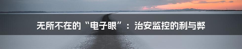 无所不在的“电子眼”：治安监控的利与弊