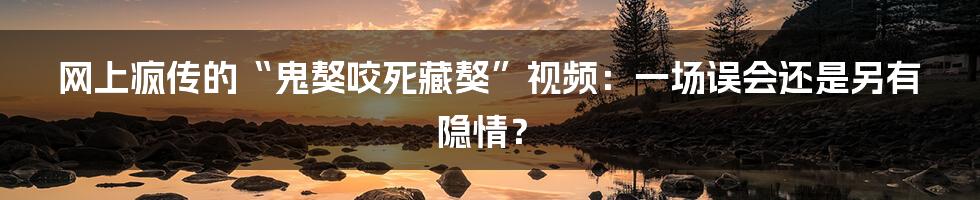 网上疯传的“鬼獒咬死藏獒”视频:一场误会还是另有隐情?