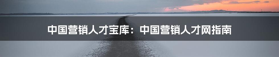 中国营销人才宝库：中国营销人才网指南