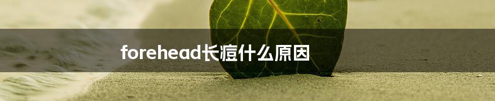forehead长痘什么原因