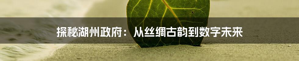探秘湖州政府:从丝绸古韵到数字未来