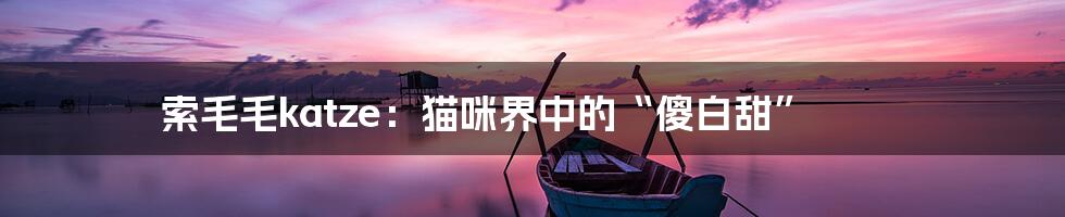 索毛毛katze:猫咪界中的“傻白甜”