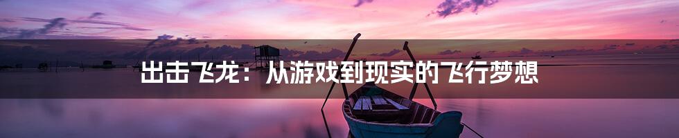 出击飞龙:从游戏到现实的飞行梦想