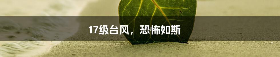 17级台风，恐怖如斯