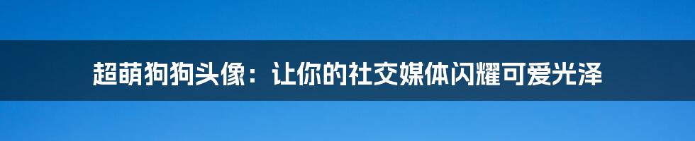 超萌狗狗头像：让你的社交媒体闪耀可爱光泽