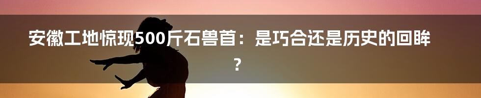 安徽工地惊现500斤石兽首：是巧合还是历史的回眸？