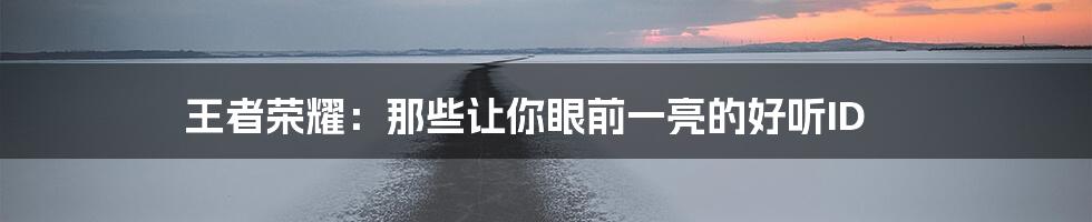 王者荣耀:那些让你眼前一亮的好听ID