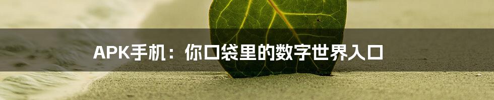 APK手机：你口袋里的数字世界入口
