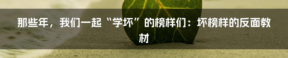 那些年，我们一起“学坏”的榜样们：坏榜样的反面教材