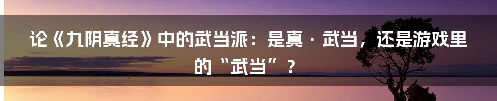 论《九阴真经》中的武当派：是真·武当，还是游戏里的“武当”？