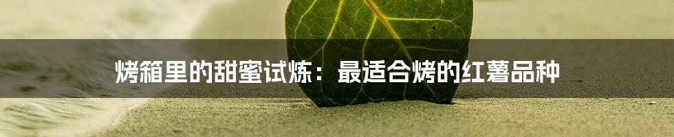 烤箱里的甜蜜试炼:最适合烤的红薯品种