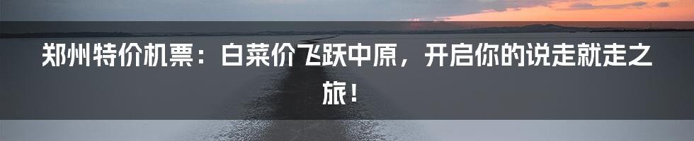 郑州特价机票：白菜价飞跃中原，开启你的说走就走之旅！