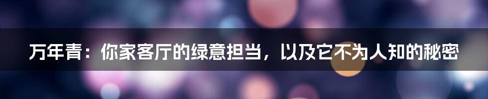 万年青:你家客厅的绿意担当,以及它不为人知的秘密