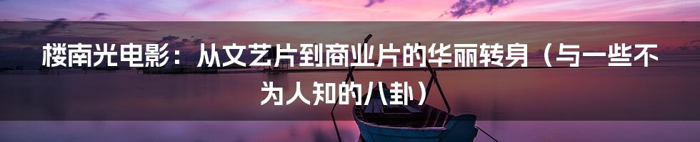 楼南光电影:从文艺片到商业片的华丽转身(与一些不为人知的八卦)