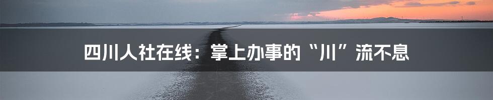 四川人社在线:掌上办事的“川”流不息