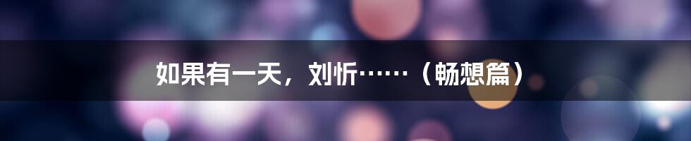 如果有一天,刘忻……(畅想篇)