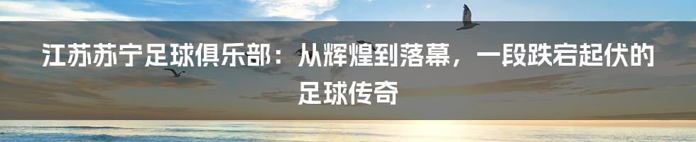 江苏苏宁足球俱乐部:从辉煌到落幕,一段跌宕起伏的足球传奇