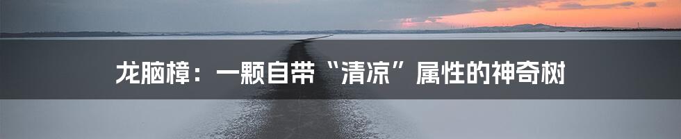 龙脑樟：一颗自带“清凉”属性的神奇树