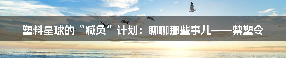 塑料星球的“减负”计划:聊聊那些事儿——禁塑令