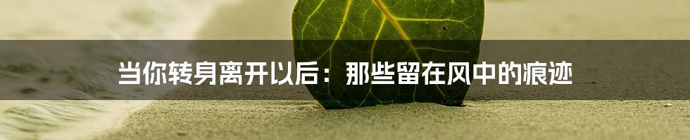 当你转身离开以后：那些留在风中的痕迹