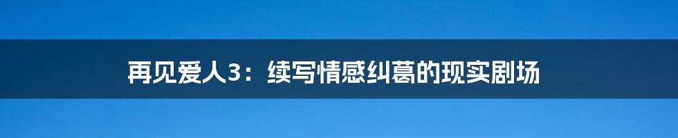 再见爱人3:续写情感纠葛的现实剧场