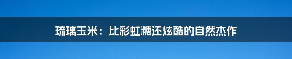 琉璃玉米:比彩虹糖还炫酷的自然杰作