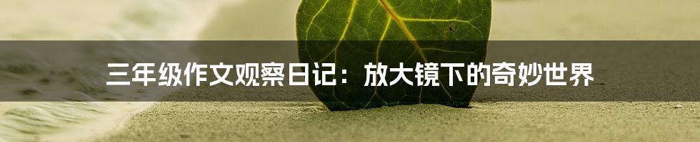 三年级作文观察日记:放大镜下的奇妙世界