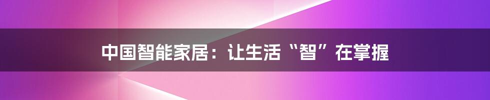 中国智能家居:让生活“智”在掌握