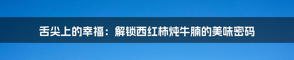 舌尖上的幸福:解锁西红柿炖牛腩的美味密码