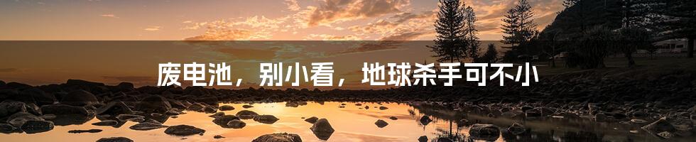 废电池,别小看,地球杀手可不小