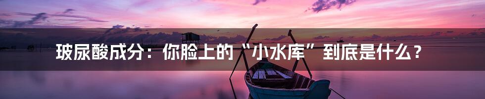 玻尿酸成分：你脸上的“小水库”到底是什么？