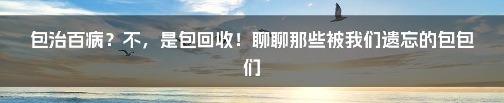 包治百病?不,是包回收!聊聊那些被我们遗忘的包包们
