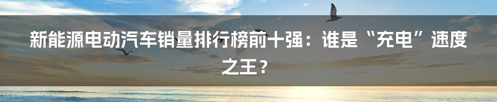 新能源电动汽车销量排行榜前十强：谁是“充电”速度之王？