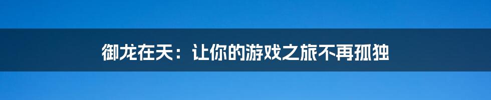 御龙在天:让你的游戏之旅不再孤独