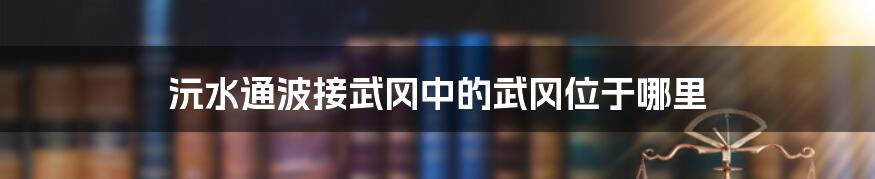 沅水通波接武冈中的武冈位于哪里