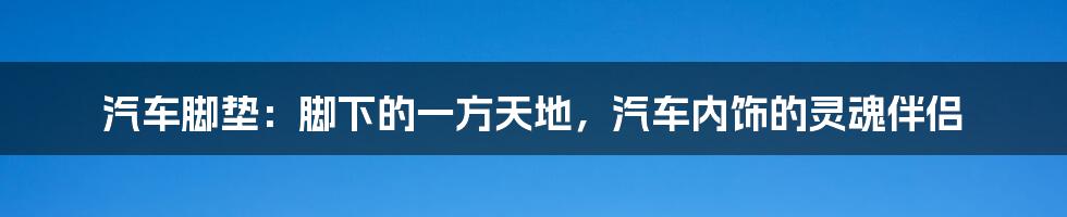 汽车脚垫：脚下的一方天地，汽车内饰的灵魂伴侣