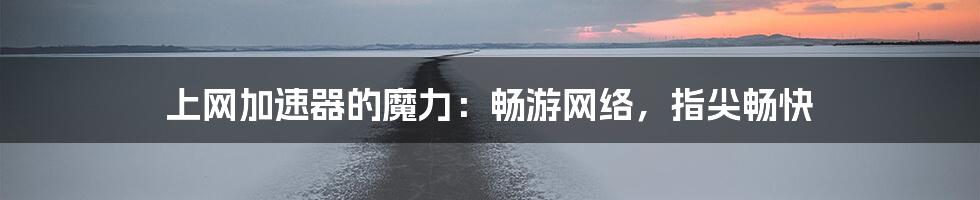 上网加速器的魔力:畅游网络,指尖畅快