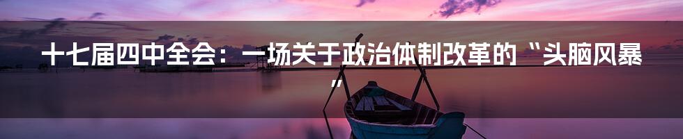 十七届四中全会:一场关于政治体制改革的“头脑风暴”