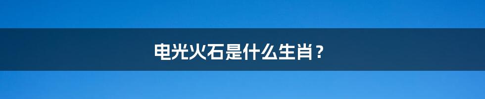 电光火石是什么生肖？