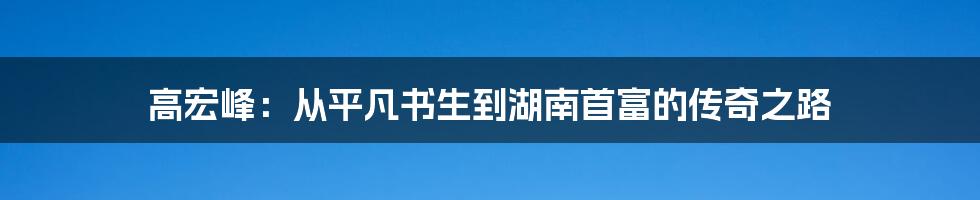 高宏峰：从平凡书生到湖南首富的传奇之路