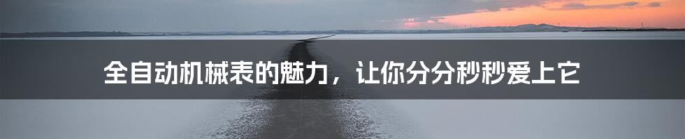 全自动机械表的魅力,让你分分秒秒爱上它