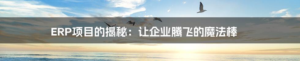 ERP项目的揭秘:让企业腾飞的魔法棒