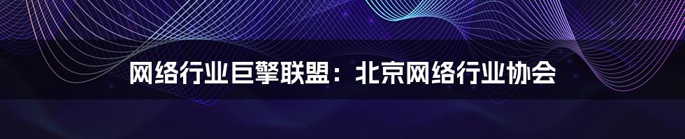 网络行业巨擎联盟：北京网络行业协会