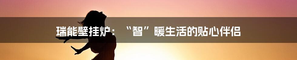 瑞能壁挂炉:“智”暖生活的贴心伴侣