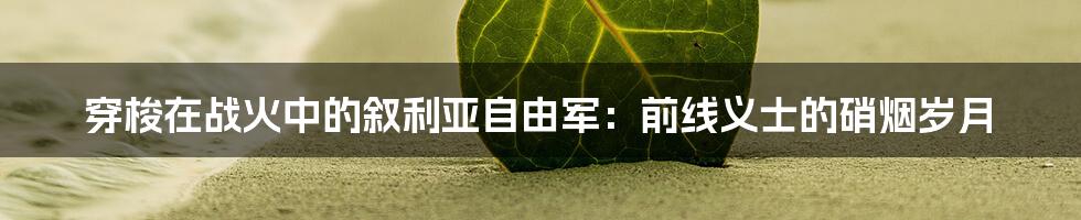 穿梭在战火中的叙利亚自由军：前线义士的硝烟岁月