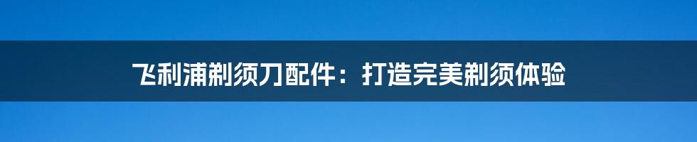 飞利浦剃须刀配件:打造完美剃须体验